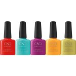 SHELLAC Collection Rise and Shine 2022