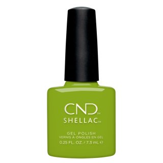 CND Shellac Crisp Green, Autumn Addict